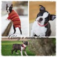 /album/abbey/abbey-2-fotor-collage-fotor-jpg/